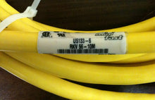 Load image into Gallery viewer, Turck RKV 56-10M Heavy Duty Industrial Cordset Cable with Connectors - ZYYKZ Test Equipment
